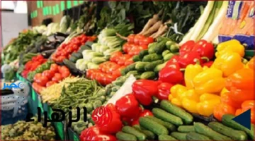 أسعار الخضروات .. تحديث أسعار الطماطم والبطاطس في سوق العبور اليوم الأربعاء 8 أكتوبر 2025